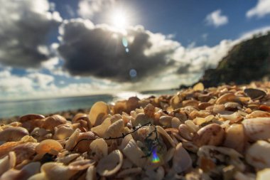 Saint Barthelemy Plajı (St. Barts, St. Barth, St. Barth)