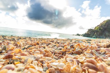 Saint Barthelemy Plajı (St. Barts, St. Barth, St. Barth)