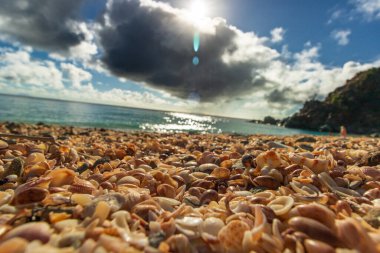 Saint Barthelemy Plajı (St. Barts, St. Barth, St. Barth)