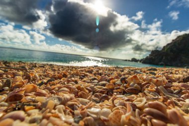 Saint Barthelemy Plajı (St. Barts, St. Barth, St. Barth)