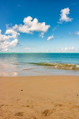 Beyaz kumlu Karayip plajı, derin mavi gökyüzü ve turkuaz su