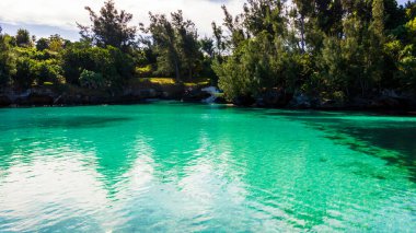 Hamilton, Bermuda 'daki Cennet Seyahat Plajı. Tropik sahil manzarası