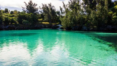 Hamilton, Bermuda 'daki Cennet Seyahat Plajı. Tropik sahil manzarası