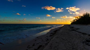 Hamilton, Bermuda 'daki Cennet Seyahat Plajı. Tropik sahil manzarası