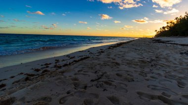 Hamilton, Bermuda 'daki Cennet Seyahat Plajı. Tropik sahil manzarası