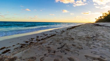 Hamilton, Bermuda 'daki Cennet Seyahat Plajı. Tropik sahil manzarası