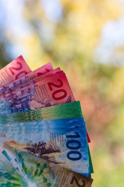 İsviçre frangı banknotları. CHF Para Birimi