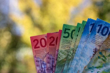 İsviçre frangı banknotları. CHF Para Birimi