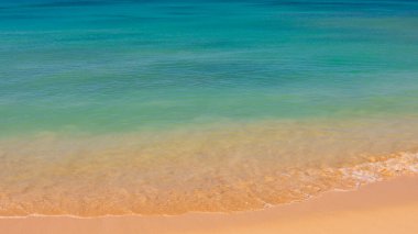 Barbados Adası 'nın Sandy Paradise Plajı, Karayip Adası