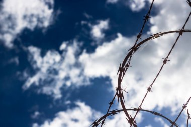 Dikenli tel örgü. Güvenlik ve özgürlük geçmişi eksikliği için konsept fotoğraf