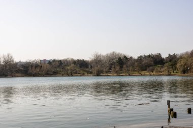 Tineretului park in Bucharest, Romania