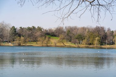 Tineretului park in Bucharest, Romania