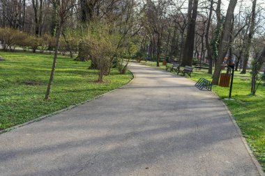 Bükreş şehir merkezindeki parktaki eski yeşil ağaçların manzarası