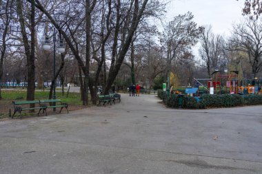 Bükreş şehir merkezindeki parktaki eski yeşil ağaçların manzarası