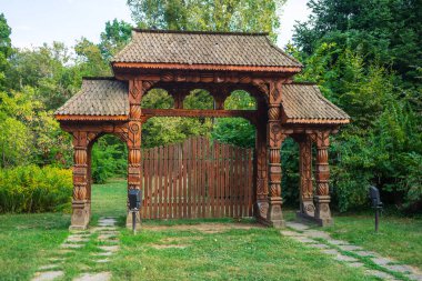 Bükreş şehir merkezindeki parktaki eski yeşil ağaçların manzarası