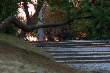Bükreş şehir merkezindeki parktaki eski yeşil ağaçların manzarası