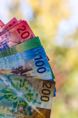 İsviçre frangı banknotları. CHF Para Birimi