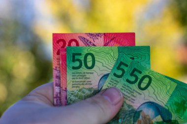 İsviçre frangı banknotları. CHF Para Birimi