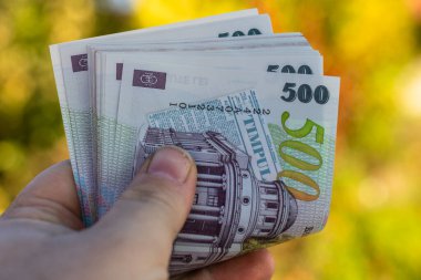 Romanya LEI Para Birimi Banknotu. RON Para Birimi