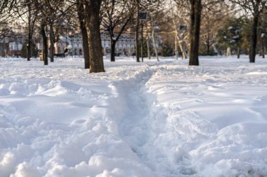 Kar yağışlı bir kış sabahı Izvor 'un güzel halk parkında manzara. Bükreş, Romanya 'dan Izvor Park