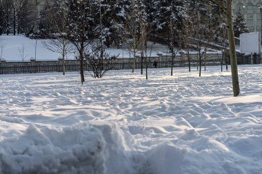 Kar yağışlı bir kış sabahı Izvor 'un güzel halk parkında manzara. Bükreş, Romanya 'dan Izvor Park