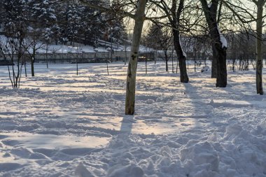 Kar yağışlı bir kış sabahı Izvor 'un güzel halk parkında manzara. Bükreş, Romanya 'dan Izvor Park