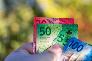 İsviçre frangı banknotları. CHF Para Birimi