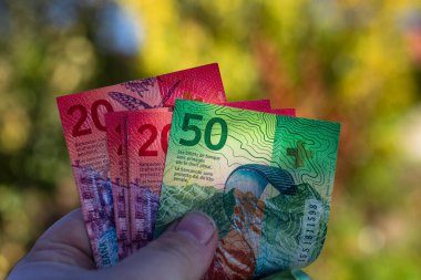 İsviçre frangı banknotları. CHF Para Birimi