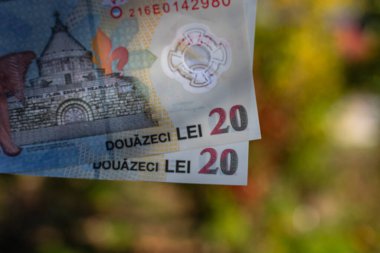 Romanya LEI Para Birimi Banknotu. RON Para Birimi