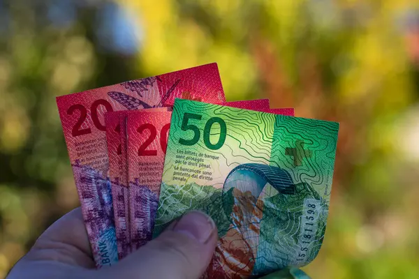 İsviçre frangı banknotları. CHF Para Birimi