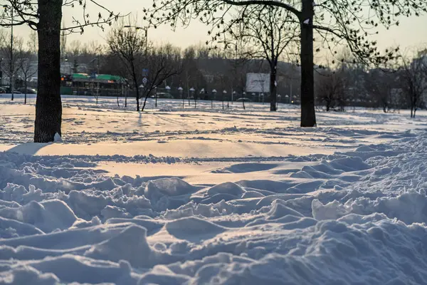 Kar yağışlı bir kış sabahı Izvor 'un güzel halk parkında manzara. Bükreş, Romanya 'dan Izvor Park