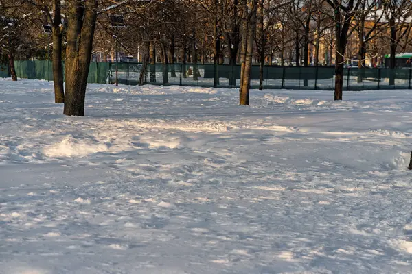 Kar yağışlı bir kış sabahı Izvor 'un güzel halk parkında manzara. Bükreş, Romanya 'dan Izvor Park