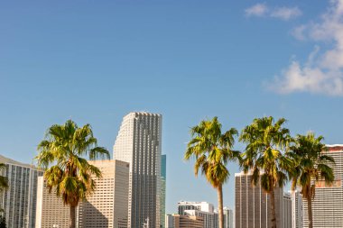 Miami, Florida şehir merkezi finans bölgesi. ABD şehir silüeti ve gökdelenleri