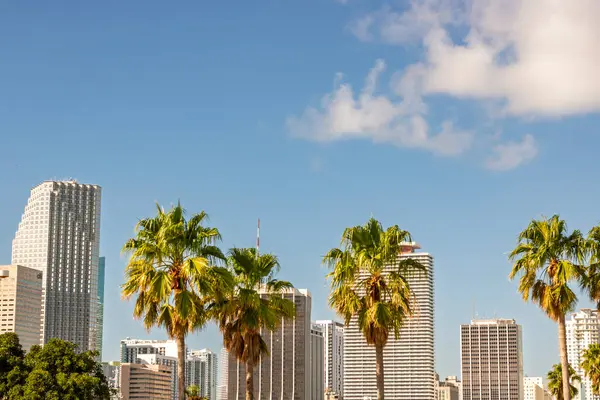 Miami, Florida şehir merkezi finans bölgesi. ABD şehir silüeti ve gökdelenleri