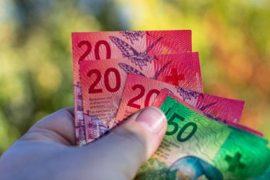 İsviçre frangı banknotları. CHF Para Birimi