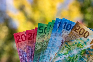 İsviçre frangı banknotları. CHF Para Birimi