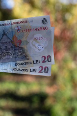 Romanya LEI Para Birimi Banknotu. RON Para Birimi