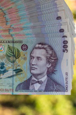 Romanya LEI Para Birimi Banknotu. RON Para Birimi