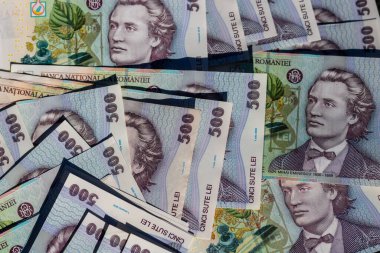 Romanya LEI Para Birimi Banknotu. RON Para Birimi