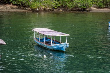 Golfito sahilinde zanaatkar balıkçı tekneleri. Kosta Rika