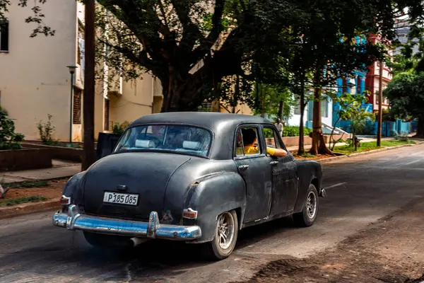 Havana, Küba 'da klasik Amerikan arabası. Renkli binalar ve eski arabalarla tipik Havana şehir manzarası