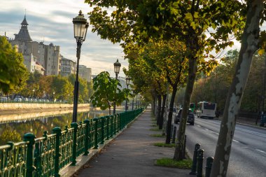 Bükreş şehir merkezindeki parktaki eski yeşil ağaçların manzarası