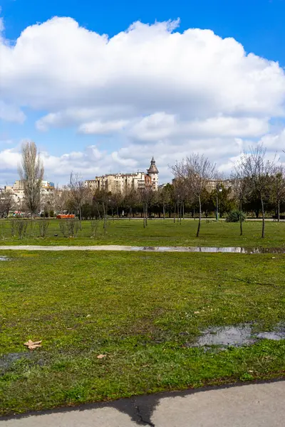 Autumn scenery with alley of fall leaves