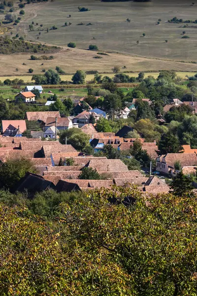 Romanya 'da bitki örtüsü, tarlaları ve evleri olan bir kırsal alan manzarası.