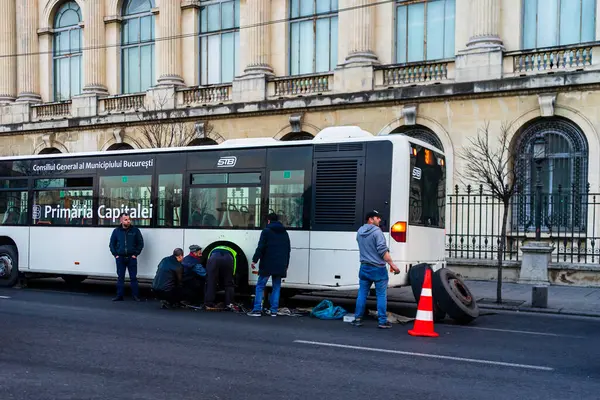 Bükreş Ulaştırma Derneği (STB) trafik otobüsleri ve otobüsleri