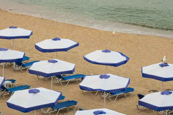 Tropikal plajda şemsiyeli plaj sandalyeleri