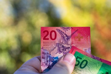 İsviçre frangı banknotları. CHF Para Birimi