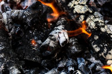 Barbekü ızgarası, yanan odun ve ateş alevleri. Parlak alevli boş kömür ızgarası.