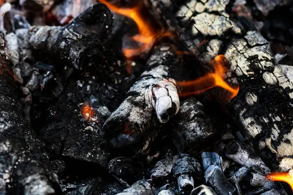 Barbekü ızgarası, yanan odun ve ateş alevleri. Parlak alevli boş kömür ızgarası.
