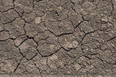 Küresel ısınma, yazın kuraklık. Kuru toprak arkaplanının koyu toprak dokusu yakın plan